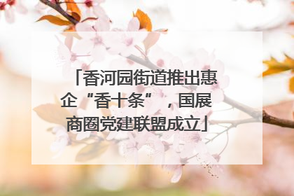 香河园街道推出惠企“香十条”，国展商圈党建联盟成立